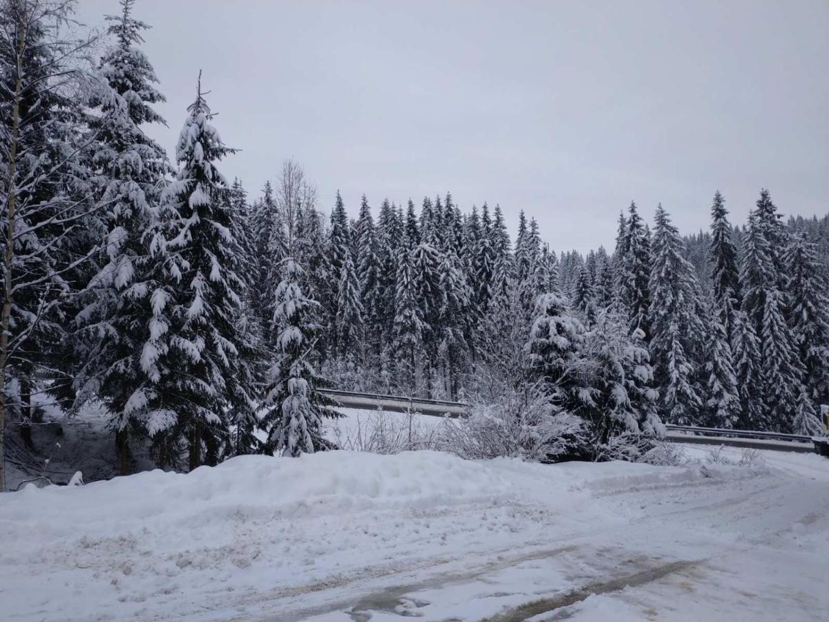 Садиба Mishel Yablunytsia Buitenkant foto
