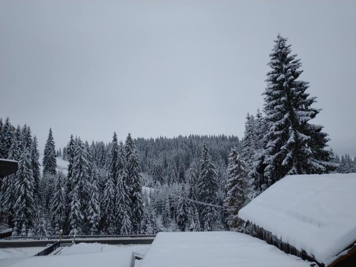 Садиба Mishel Yablunytsia Buitenkant foto